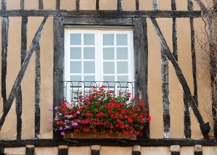 Chambres D'Hote - Maison Des Ecrivains - 50 M De La Cathedrale Et Place Des Jacobins Le Mans